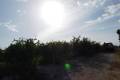 Sale - Land - Orihuela - Torremendo