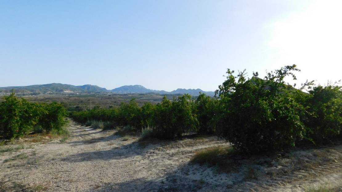 Sale - Land - Orihuela - Torremendo