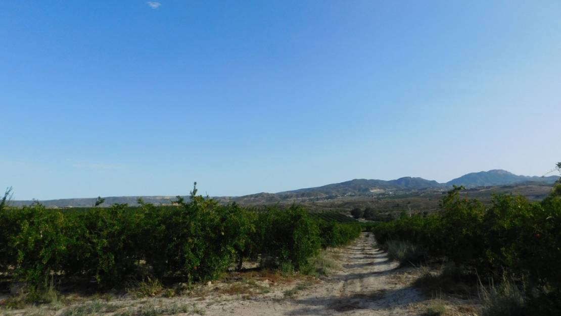 Sale - Land - Orihuela - Torremendo
