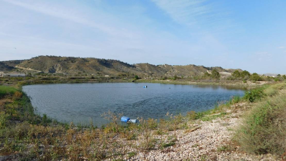 Sale - Land - Orihuela - Torremendo