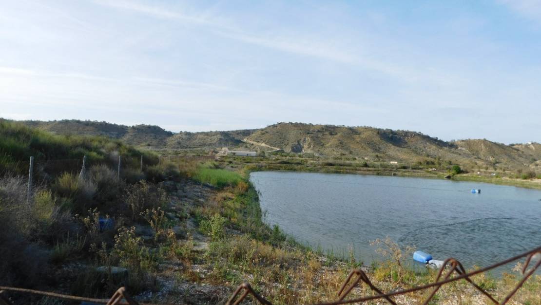 Sale - Land - Orihuela - Torremendo