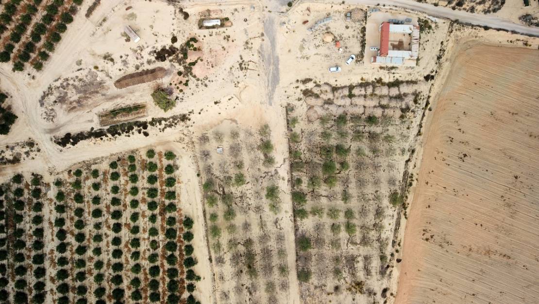 Sale - Land - Orihuela - Torremendo