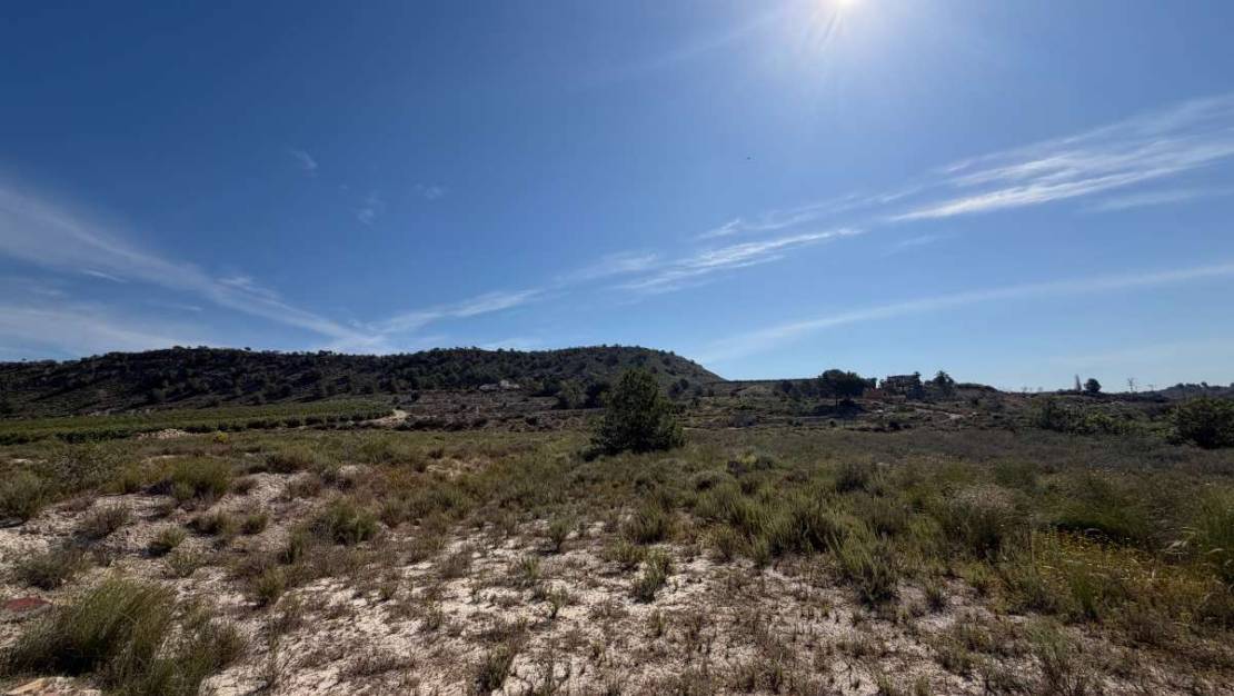 Sale - Land - Orihuela - Torremendo