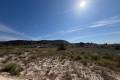 Sale - Land - Orihuela - Torremendo