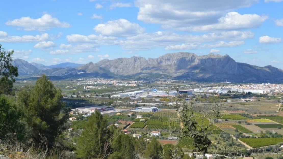 Sale - Land - Pedreguer - Pedreguer Centro