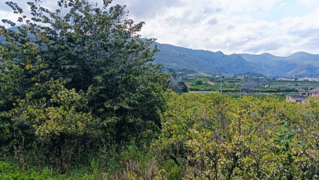 Sale - Land - Pego - Pego Centro