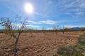 Sale - Land - Pinoso - Lel