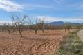 Sale - Land - Pinoso - Lel