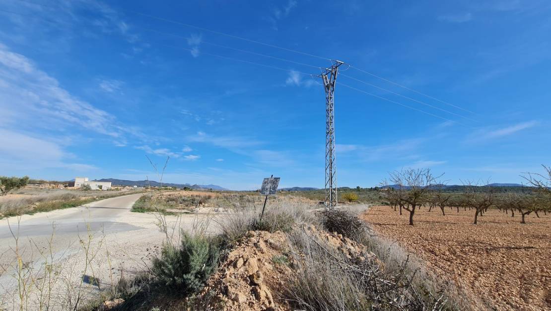 Sale - Land - Pinoso - Lel