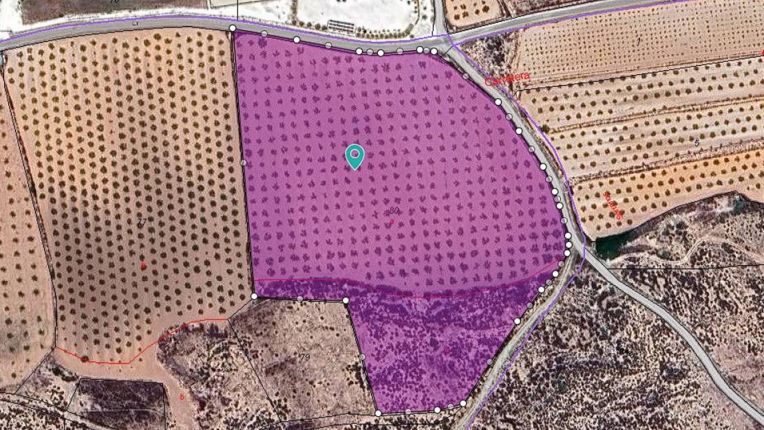 Sale - Land - Pinoso - Lel