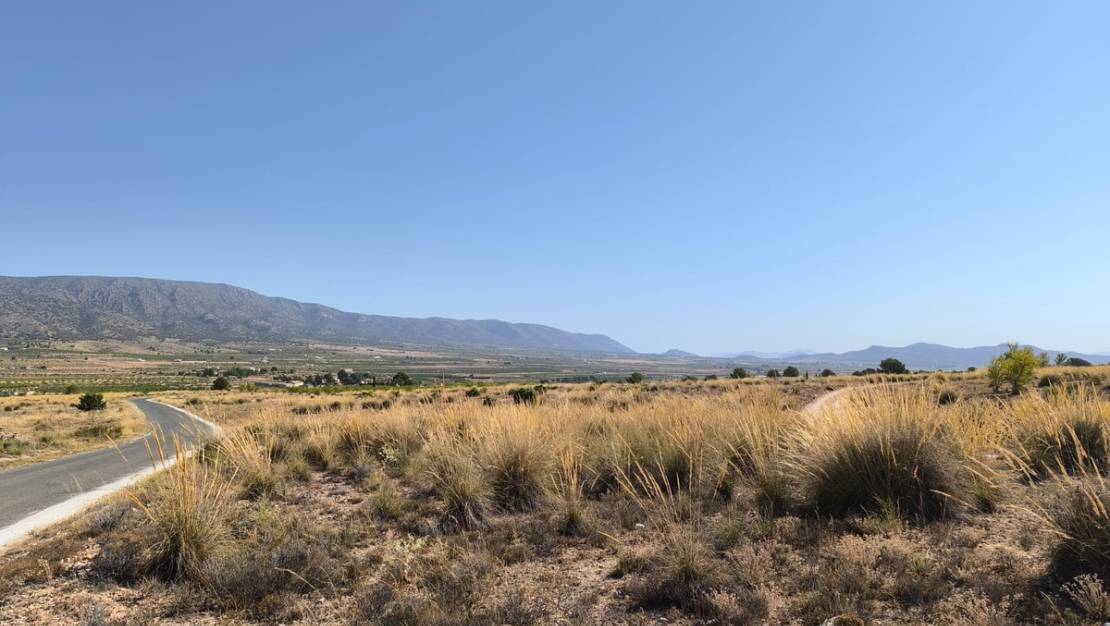 Sale - Land - Pinoso - Lel