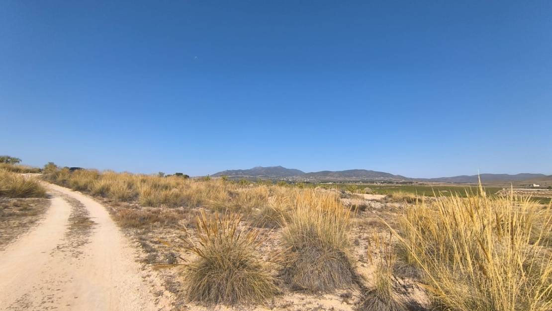 Sale - Land - Pinoso - Lel