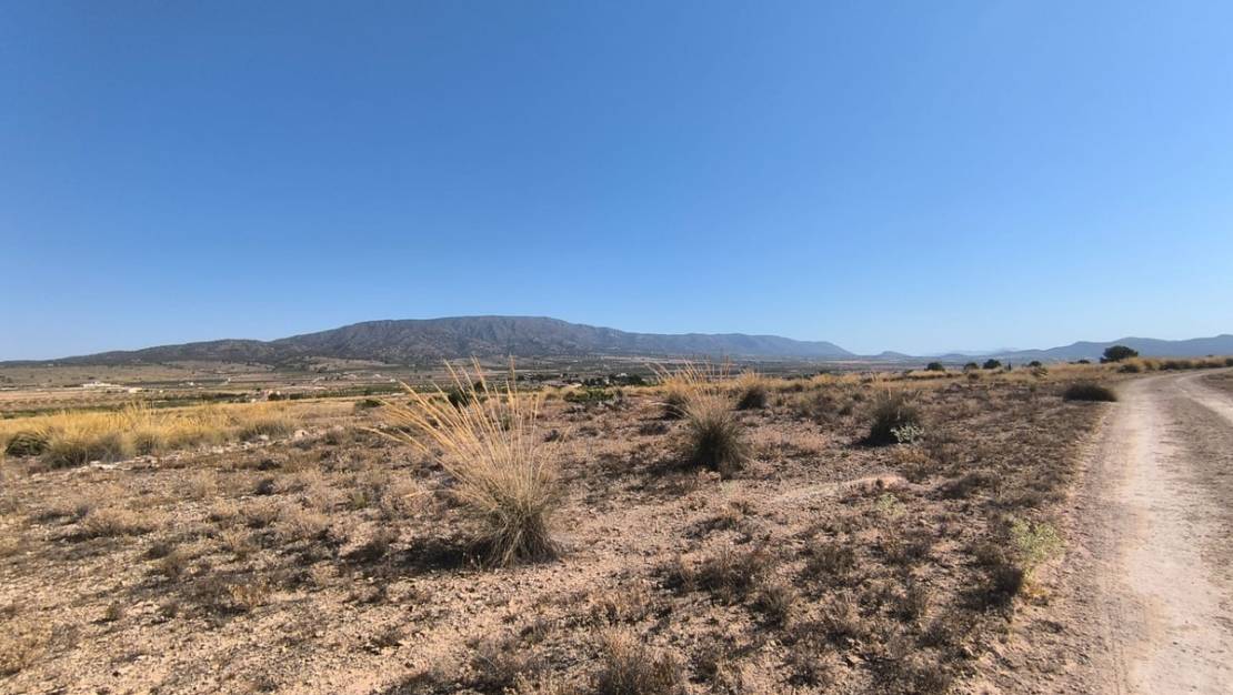 Sale - Land - Pinoso - Lel