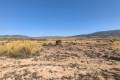 Sale - Land - Pinoso - Lel