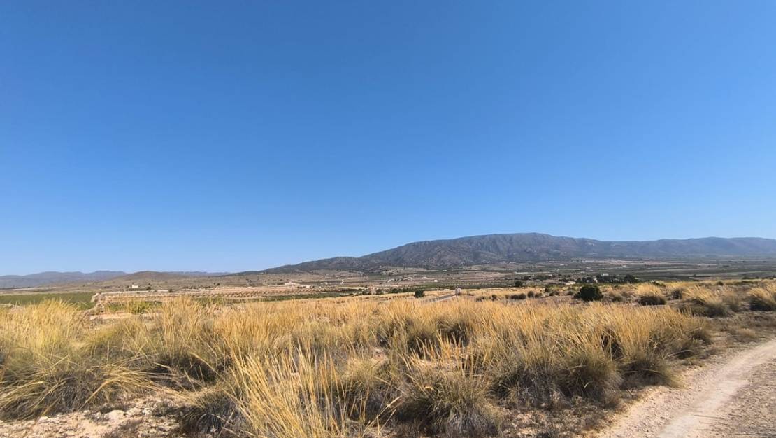 Sale - Land - Pinoso - Lel