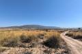 Sale - Land - Pinoso - Lel