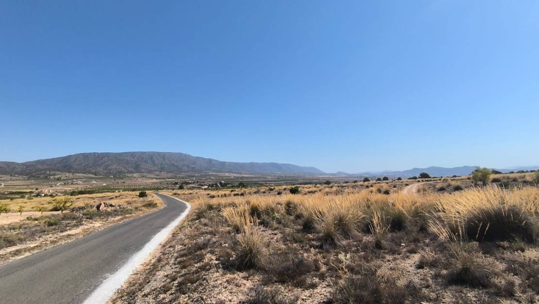 Sale - Land - Pinoso - Lel