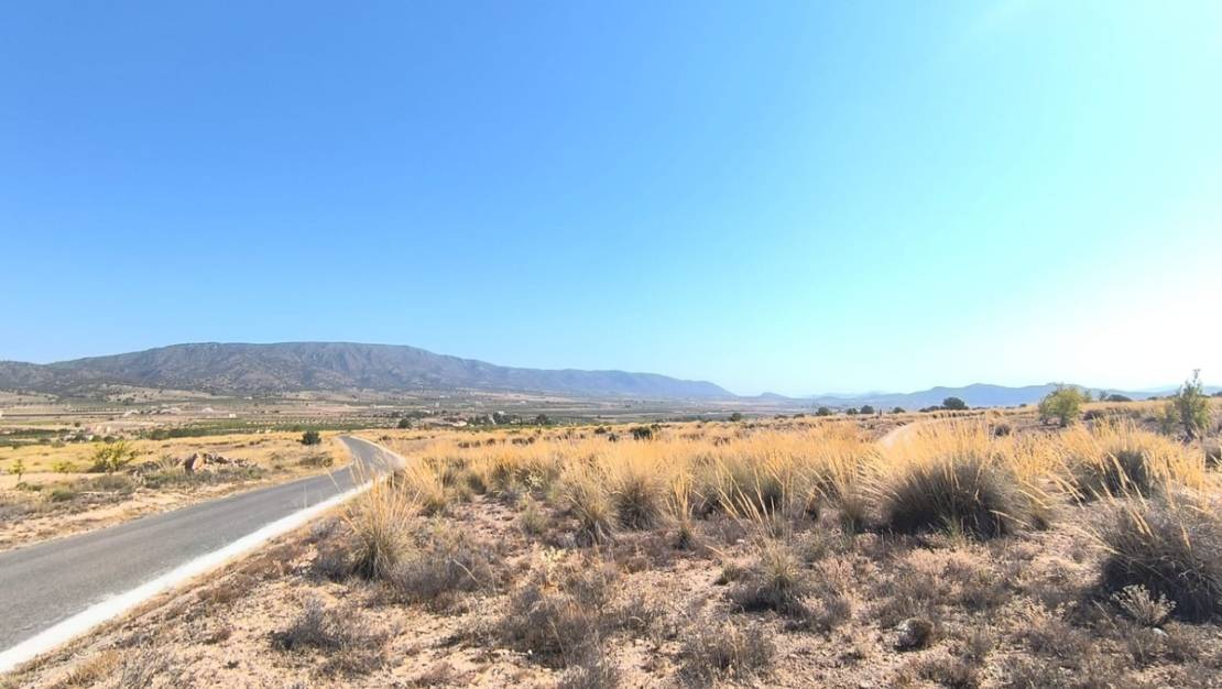 Sale - Land - Pinoso - Lel