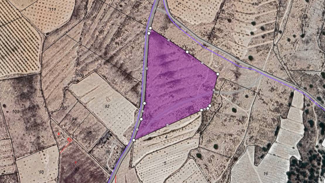 Sale - Land - Pinoso - Lel