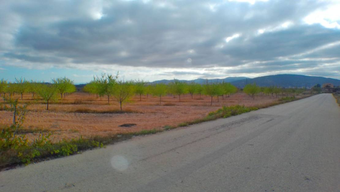 Sale - Land - Pinoso - Pinoso Centro