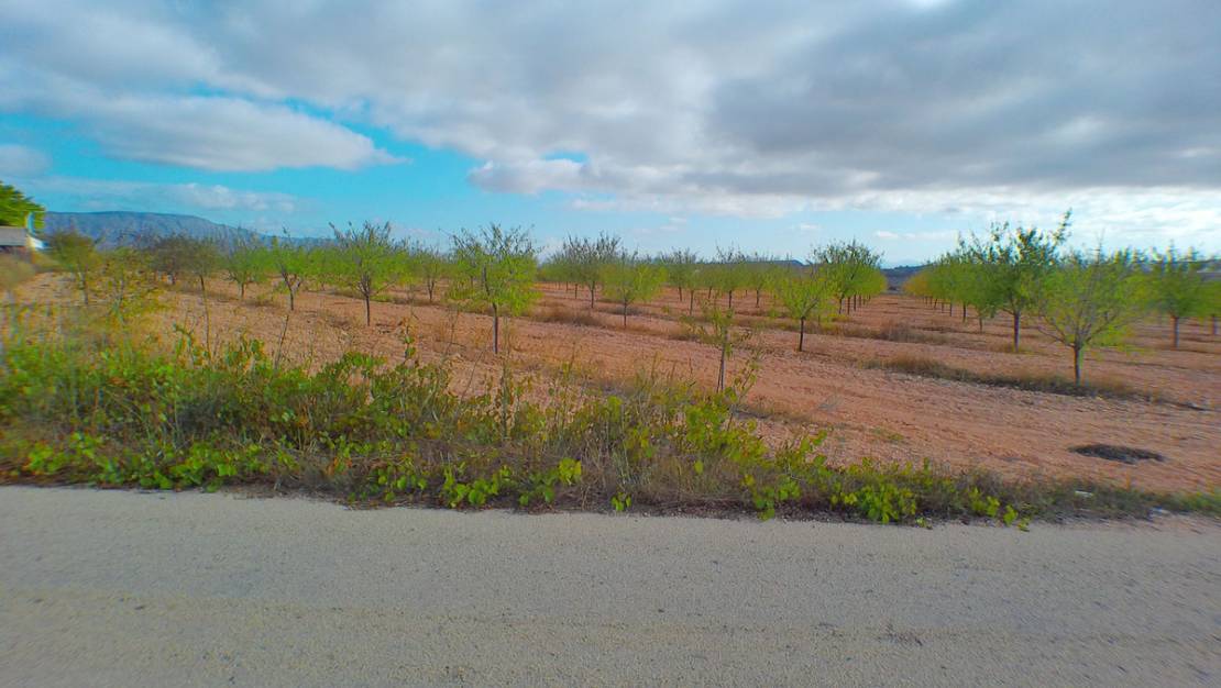 Sale - Land - Pinoso - Pinoso Centro