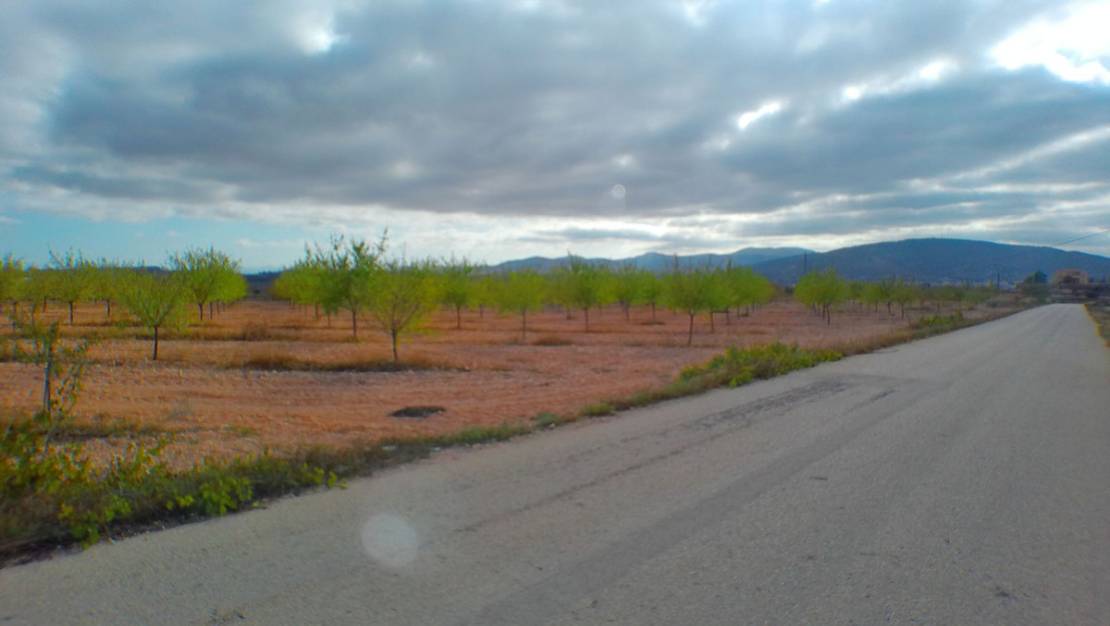 Sale - Land - Pinoso - Pinoso Centro