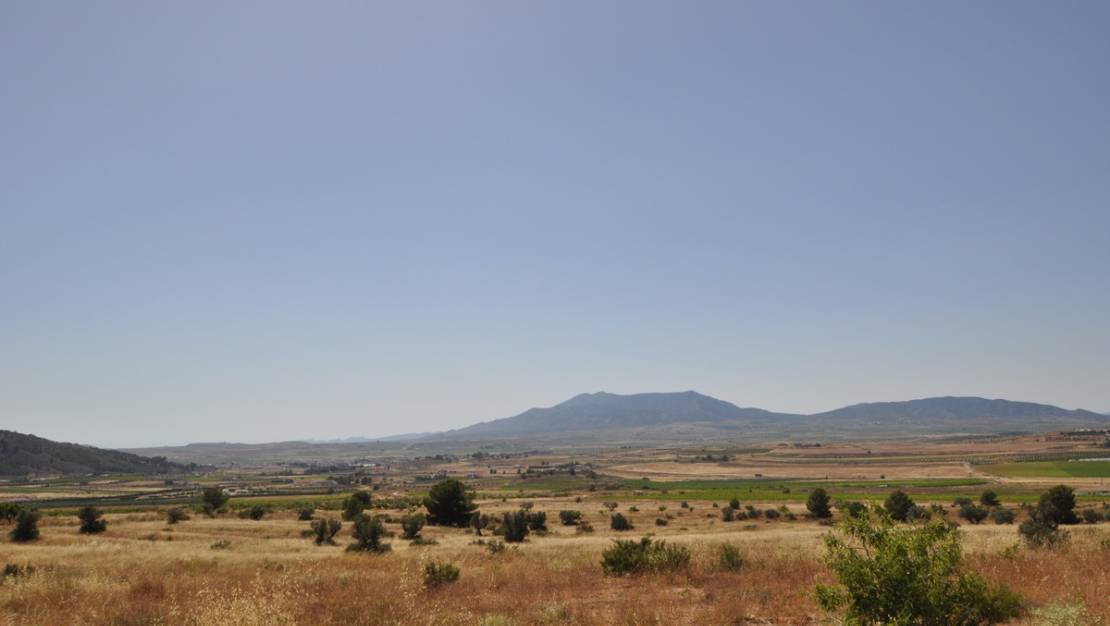 Sale - Land - Pinoso - Pinoso Centro