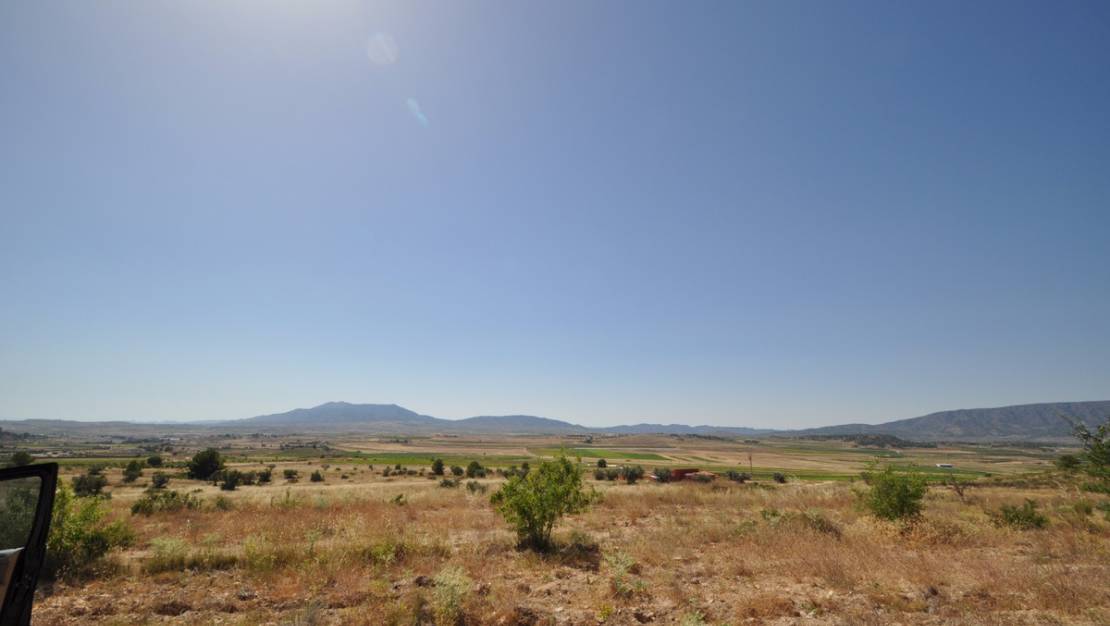 Sale - Land - Pinoso - Pinoso Centro