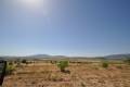 Sale - Land - Pinoso - Pinoso Centro