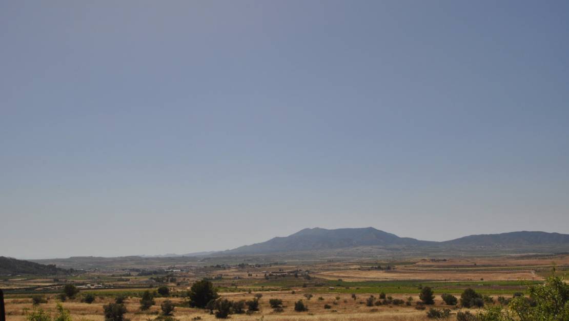 Sale - Land - Pinoso - Pinoso Centro