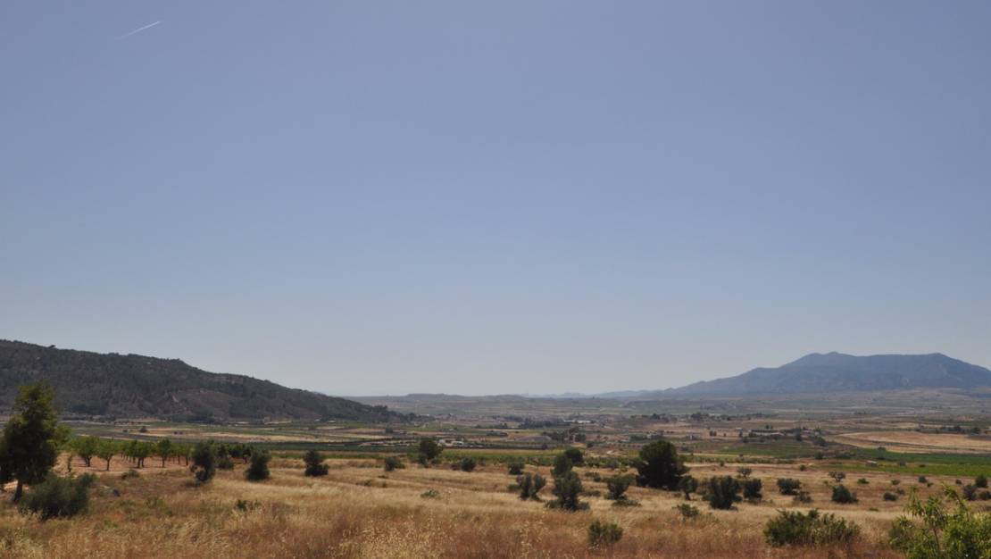 Sale - Land - Pinoso - Pinoso Centro