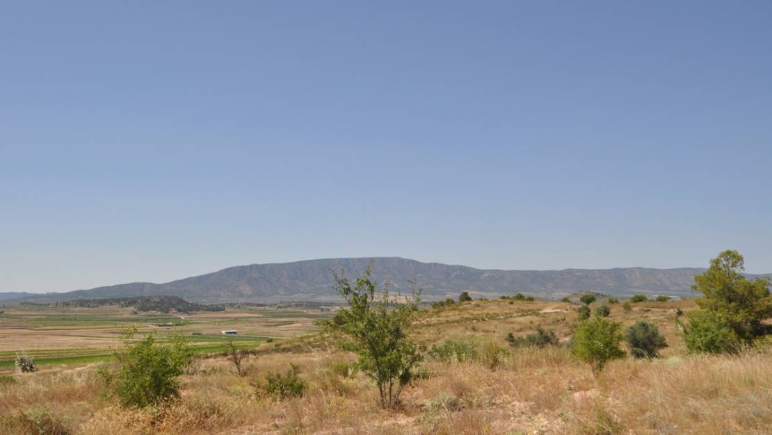 Sale - Land - Pinoso - Pinoso Centro