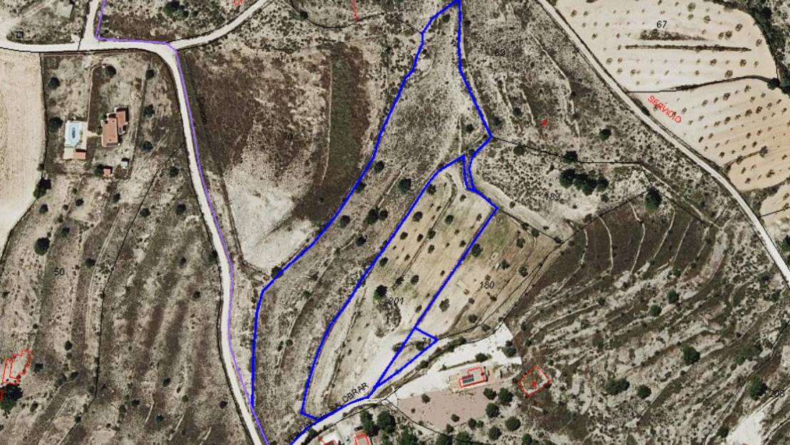 Sale - Land - Pinoso - Pinoso Centro