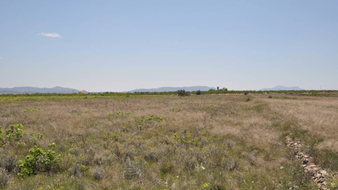 Sale - Land - Pinoso - Pinoso Centro