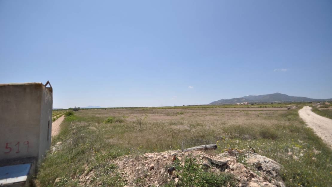 Sale - Land - Pinoso - Pinoso Centro