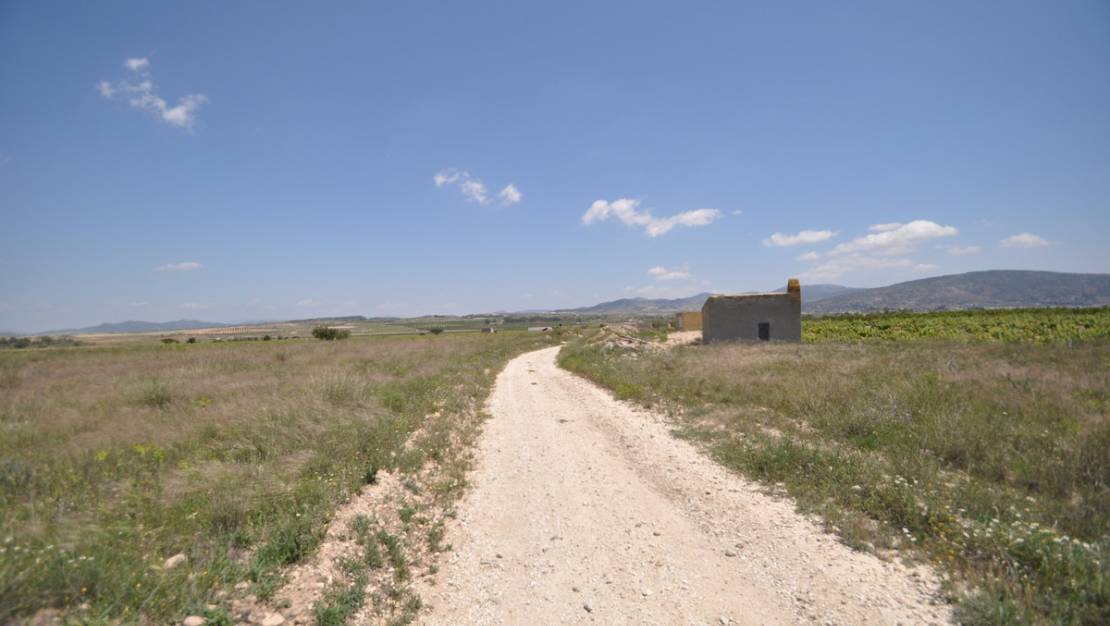 Sale - Land - Pinoso - Pinoso Centro