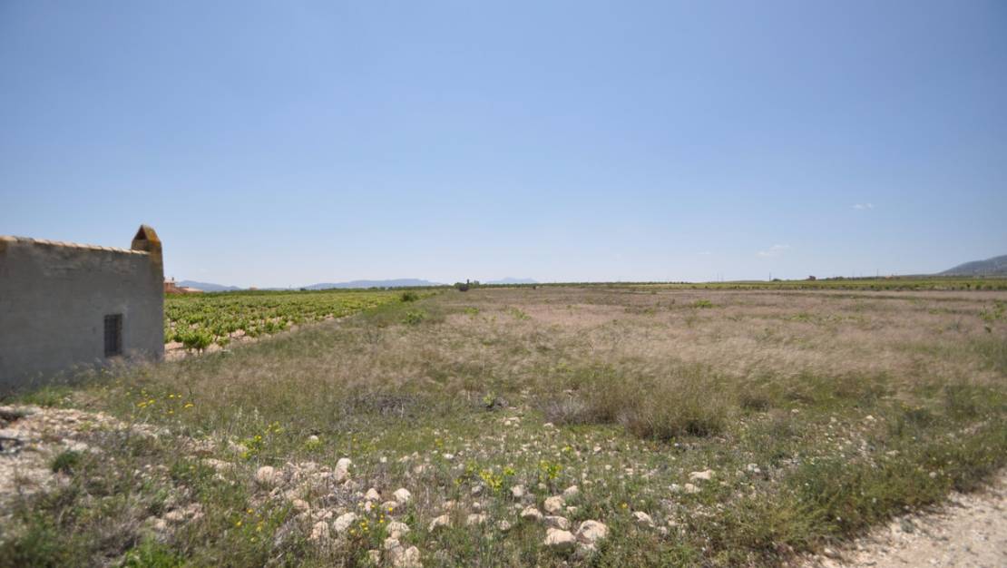 Sale - Land - Pinoso - Pinoso Centro