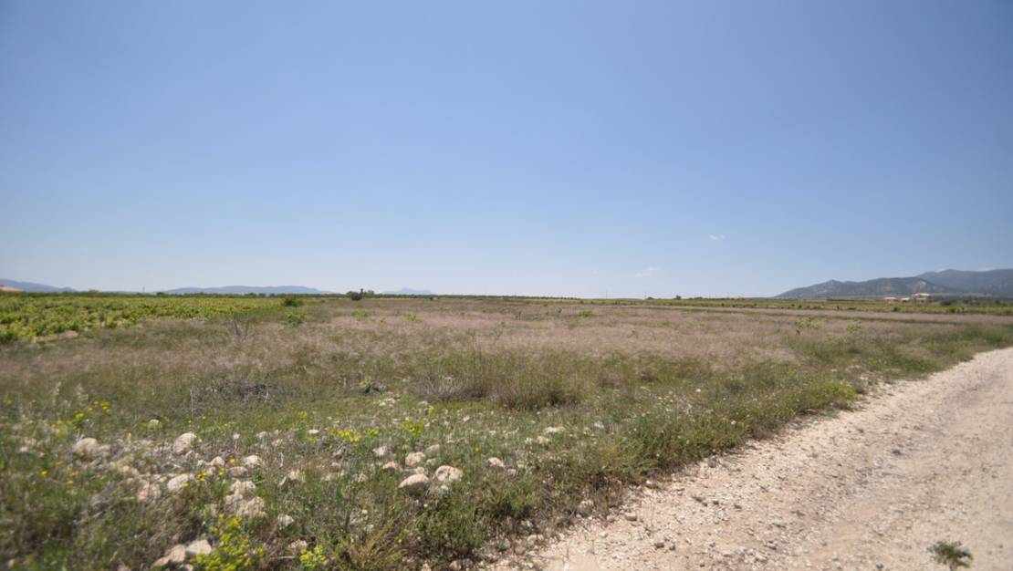 Sale - Land - Pinoso - Pinoso Centro