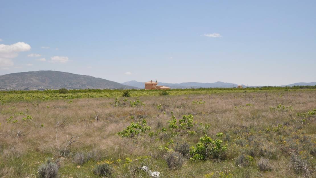 Sale - Land - Pinoso - Pinoso Centro