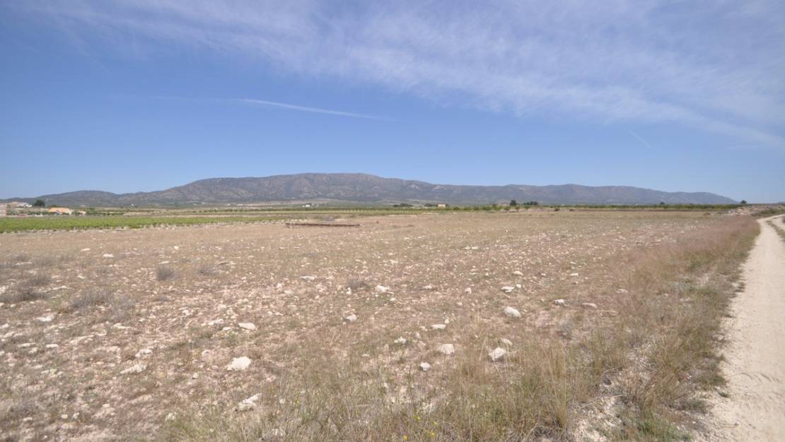 Sale - Land - Pinoso - Pinoso Centro