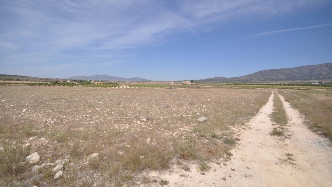 Sale - Land - Pinoso - Pinoso Centro