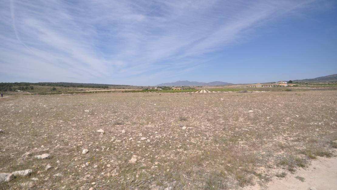 Sale - Land - Pinoso - Pinoso Centro