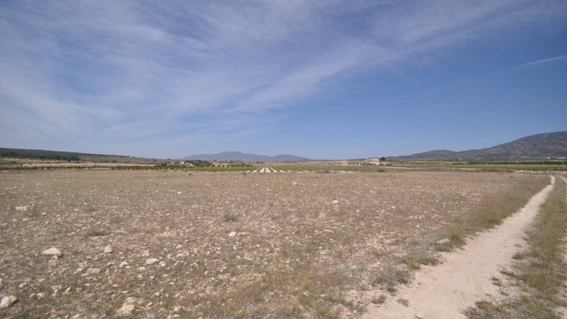 Sale - Land - Pinoso - Pinoso Centro