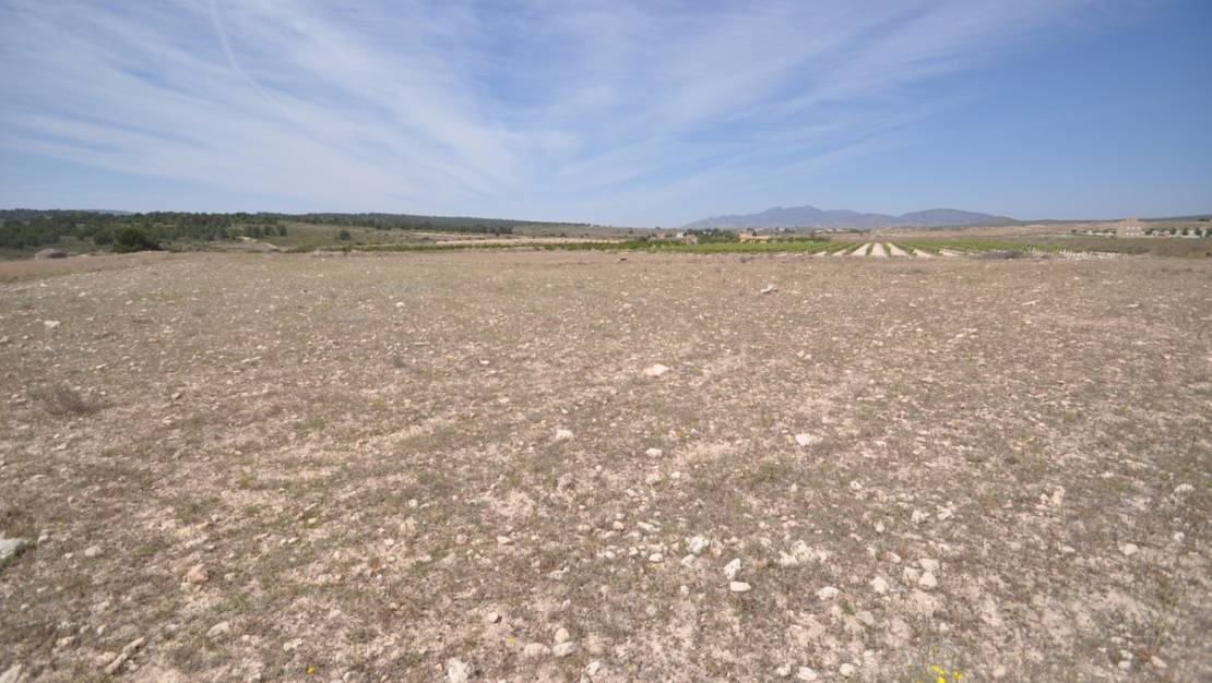 Sale - Land - Pinoso - Pinoso Centro