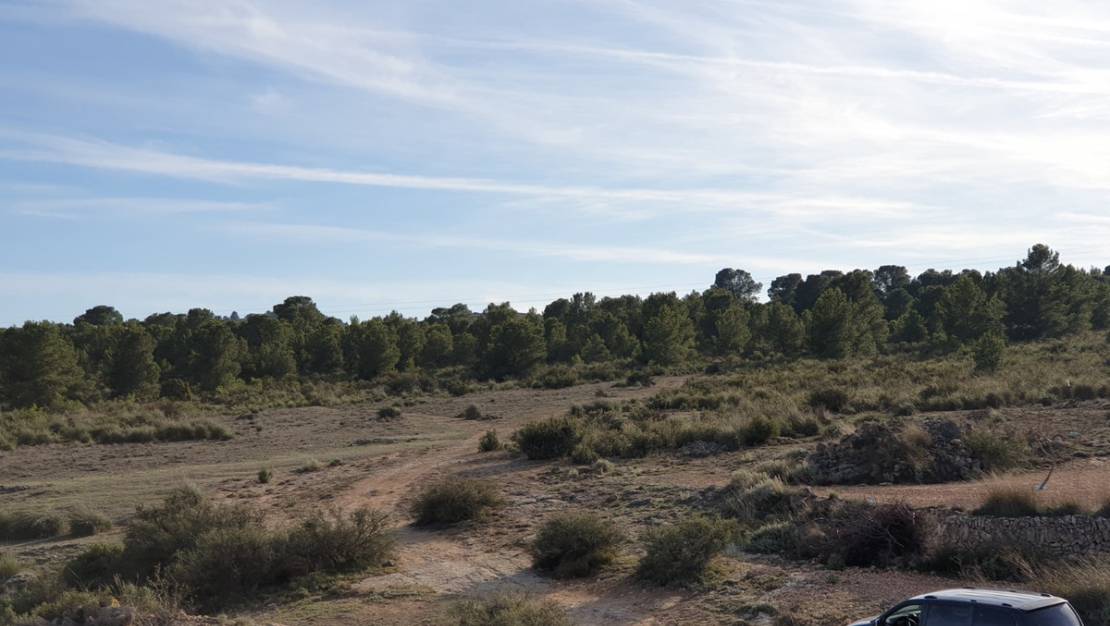 Sale - Land - Pinoso - Pinoso Centro