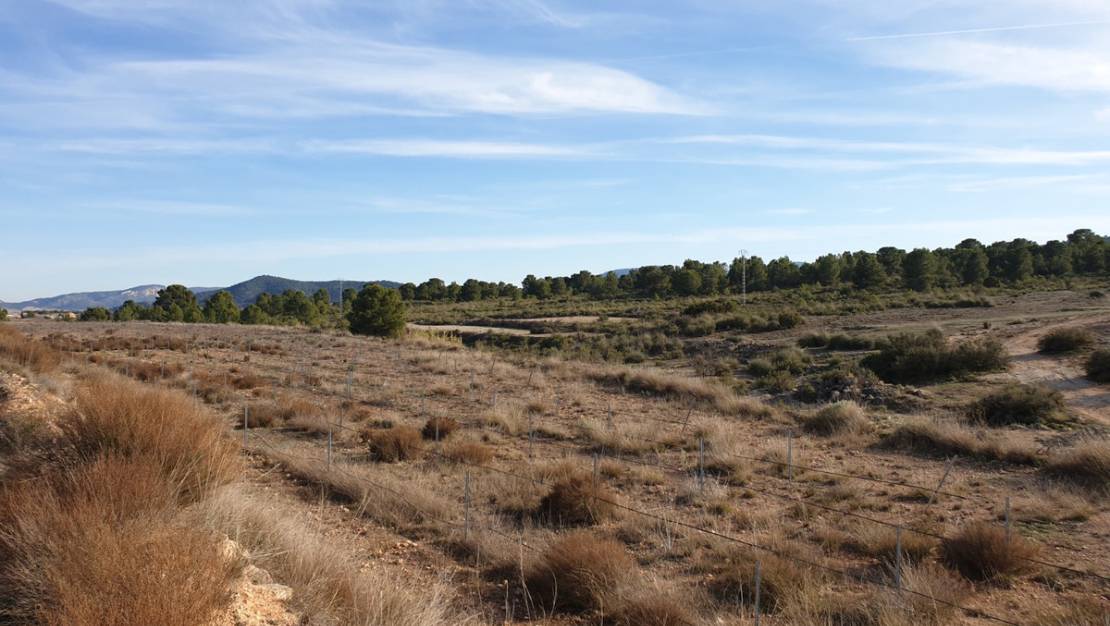 Sale - Land - Pinoso - Pinoso Centro