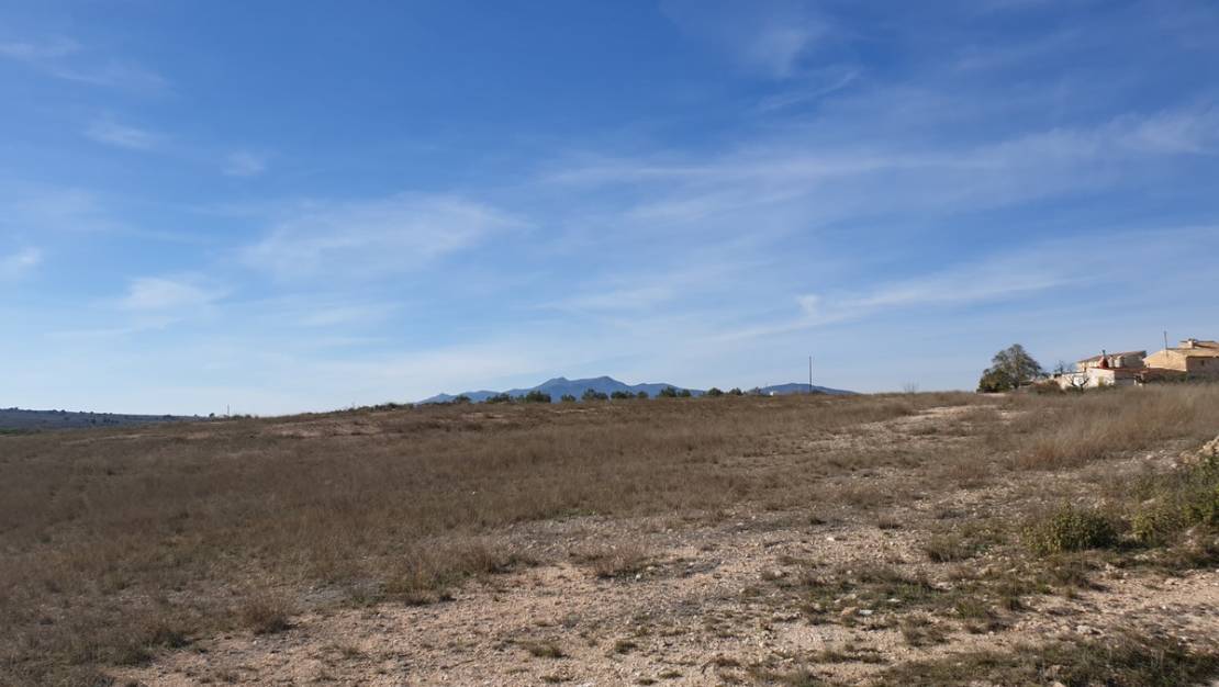 Sale - Land - Pinoso - Pinoso Centro