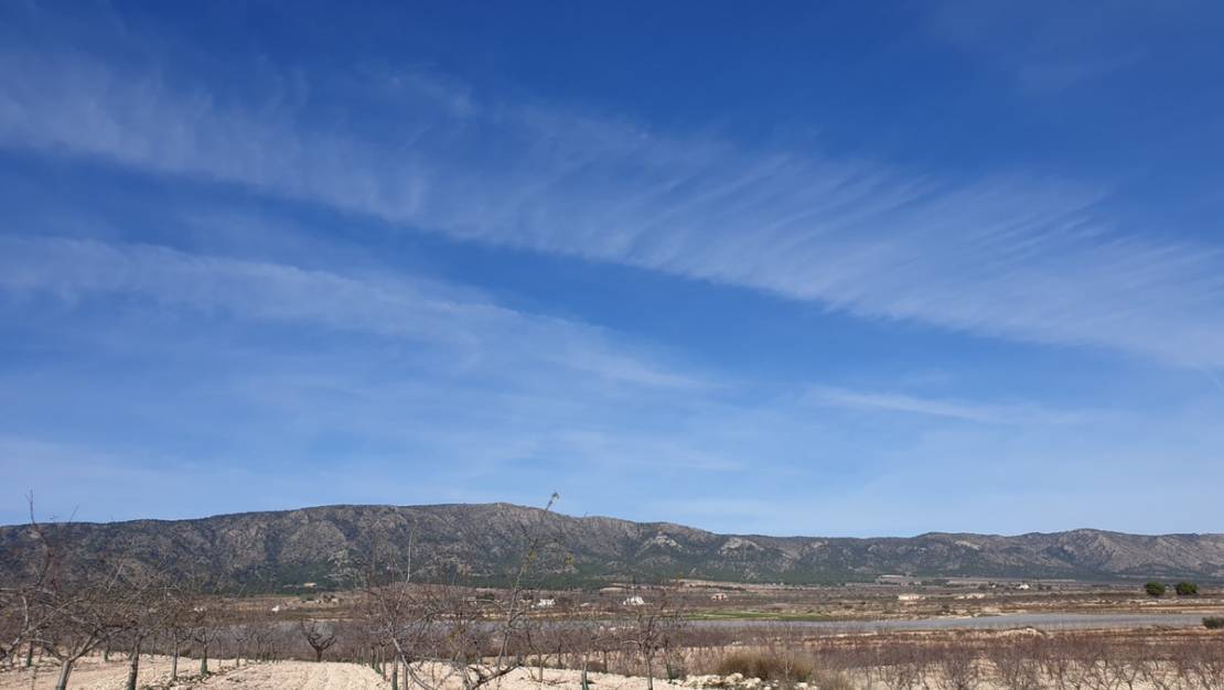 Sale - Land - Pinoso - Pinoso Centro