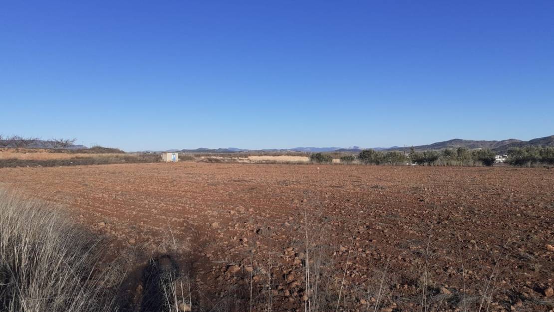 Sale - Land - Pinoso - Pinoso Centro