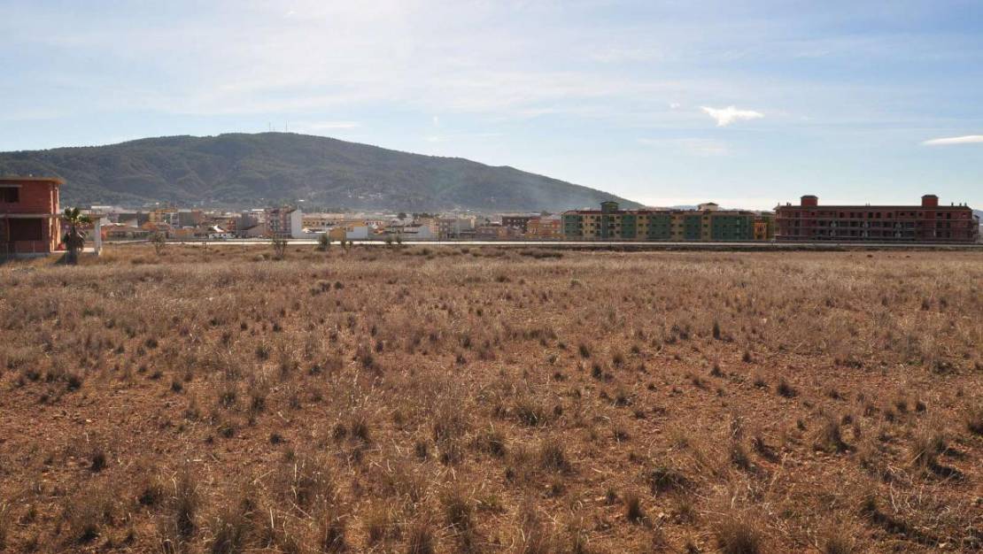 Sale - Land - Pinoso - Pinoso Centro